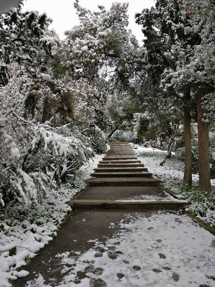 Εικόνα από τον Λυκαβηττό στις 9.45 το πρωί