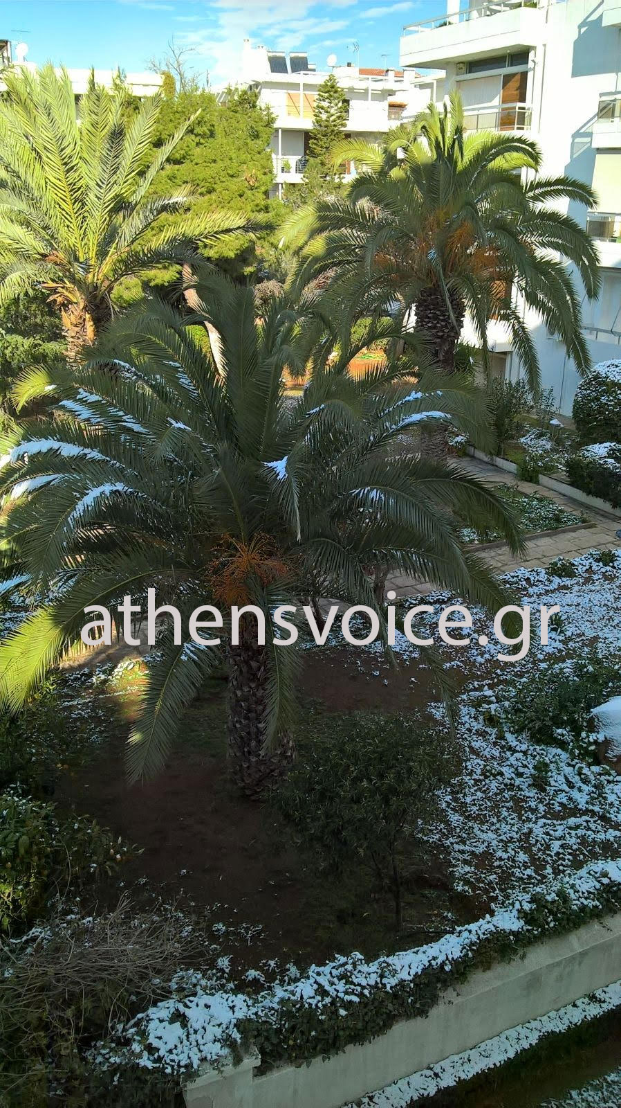 Εικόνα από τη Βούλα στις 11 το πρωί