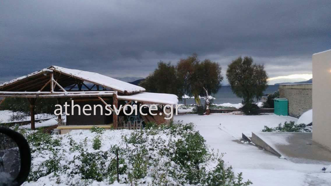 «Άσπρη» μέρα είδαν οι κάτοικοι της Αίγινας 