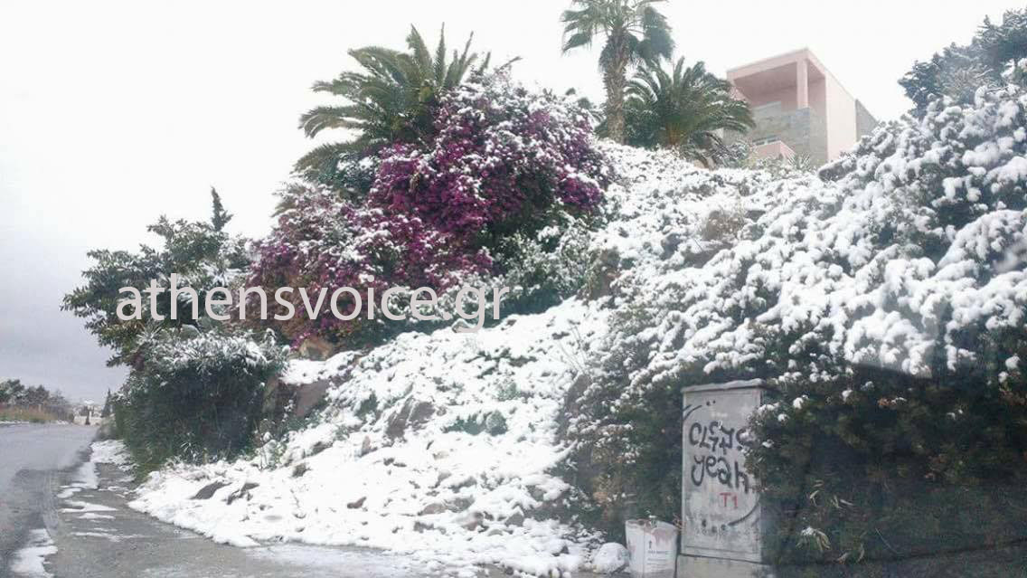 «Άσπρη» μέρα είδαν οι κάτοικοι της Αίγινας 