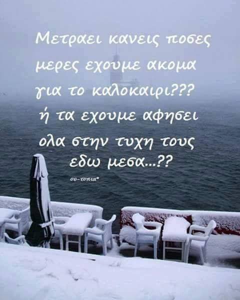 Τα Yolo του χιονιά