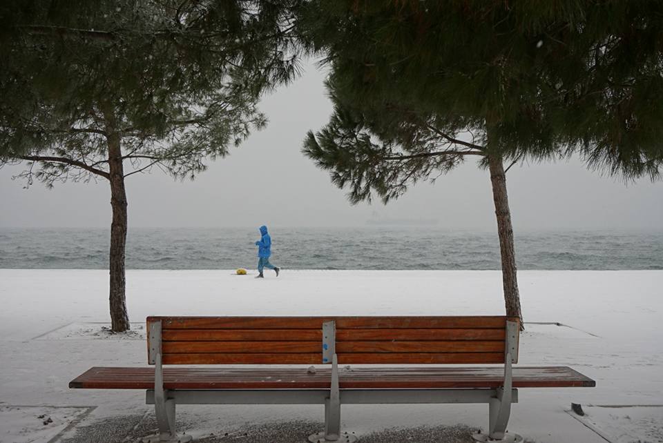 © Nikolas Ioannidis