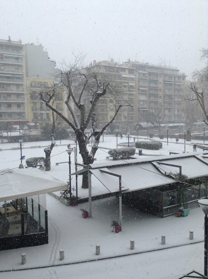 © Στέφανος Τσιτσόπουλος