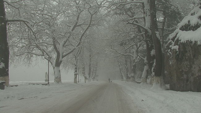 Ολικός παγετός στα Ιωάννινα