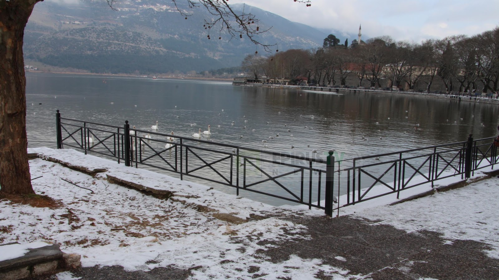 Ολικός παγετός στα Ιωάννινα