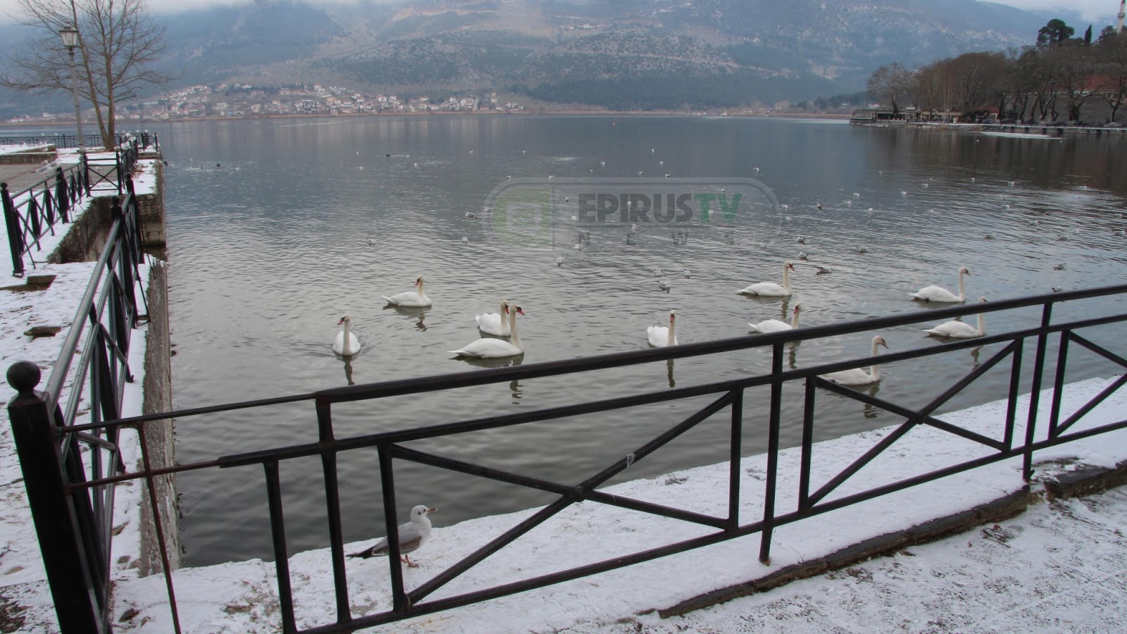 Ολικός παγετός στα Ιωάννινα