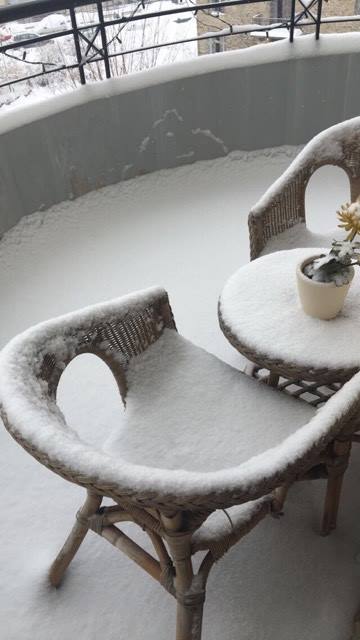 © Sofia Tat / Χιονισμένο καφεδάκι κανείς;