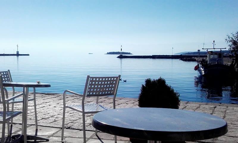 © Διαμαντής Μπαρτσώτας / Ιτέα Φωκίδας