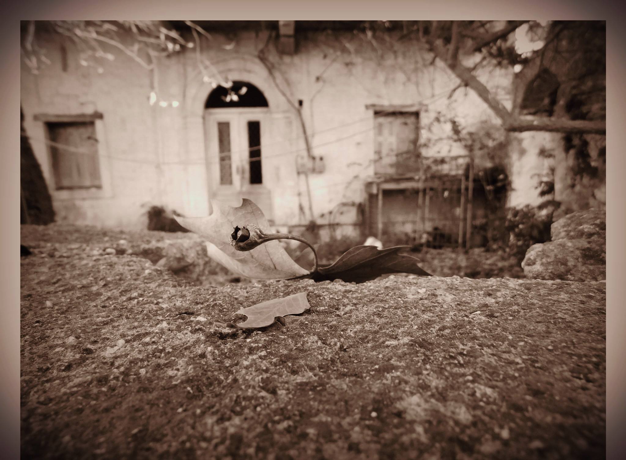 © Ioanna Palba / Βόνιτσα