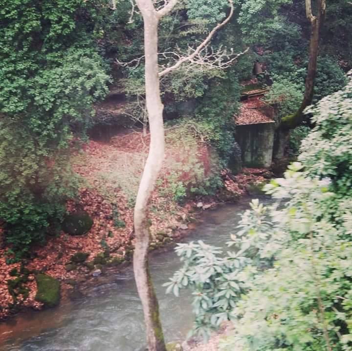 © Christina Polychronaki / Κάτω Ζαχλωρού