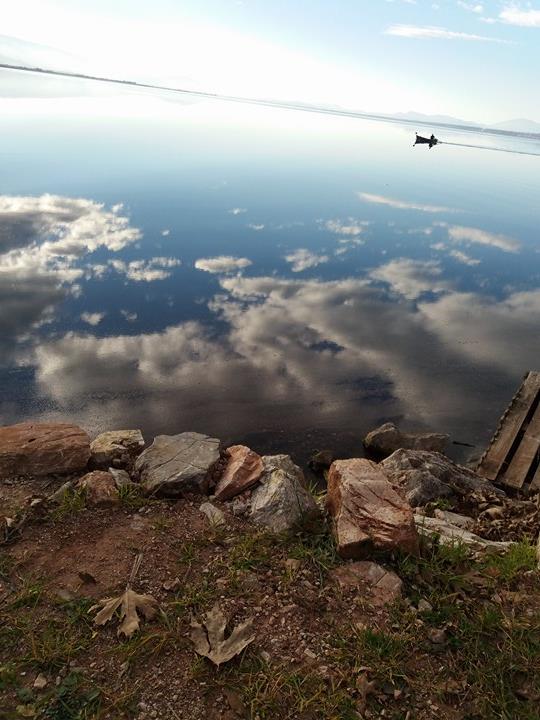 © Κωνσταντίνος Ηλιόπουλος / Τριχωνίδα