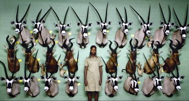 Safari του Ούλριχ Ζάιντλ (Αυστρία)