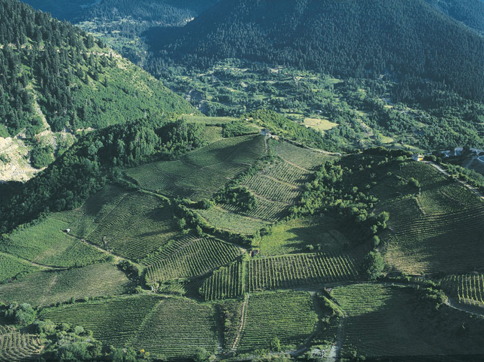 Γινιέτς Μέτσοβο Γινιέτς Μέτσοβο