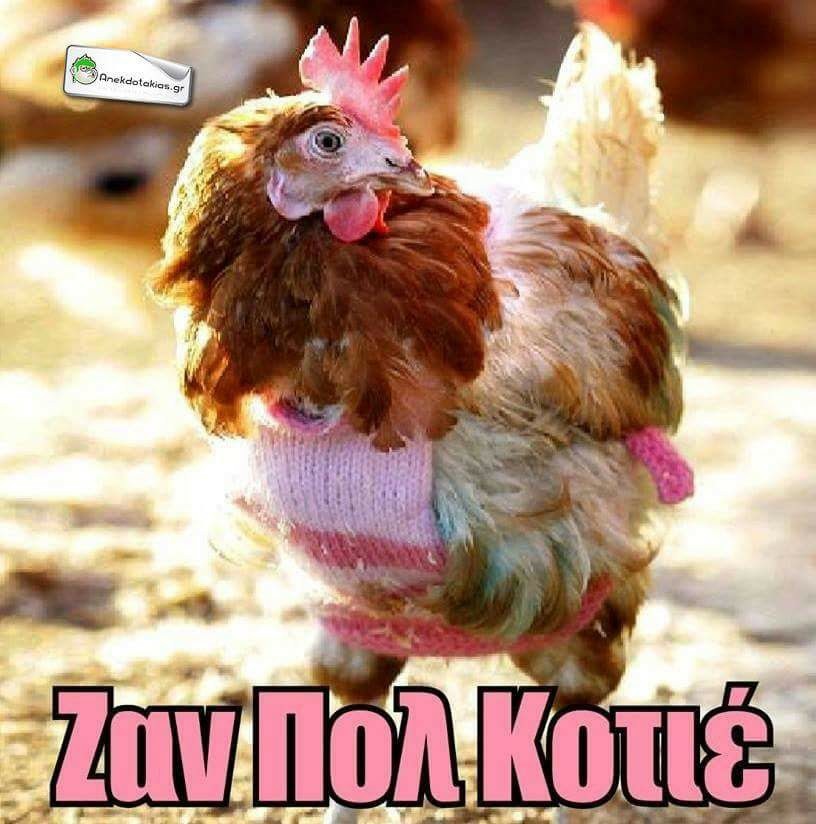 Τα YOLO της εβδομάδας Τα YOLO της εβδομάδας