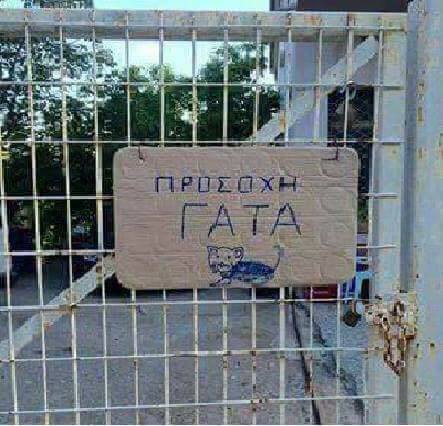 Τα YOLO της εβδομάδας Τα YOLO της εβδομάδας