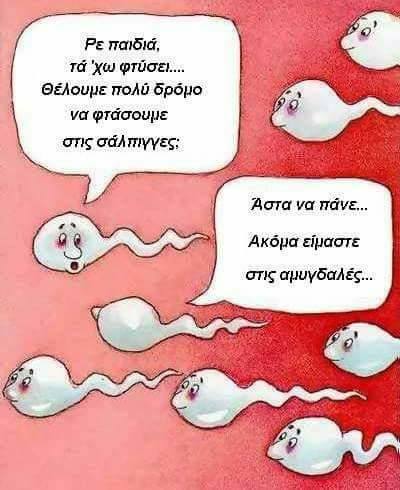 Τα YOLO της Τρίτης Τα YOLO της Τρίτης