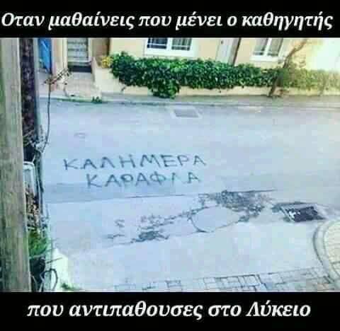 Τα YOLO της Τρίτης Τα YOLO της Τρίτης