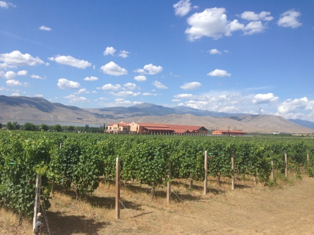 Το top κρασί του Άγγελου Ιατρίδη