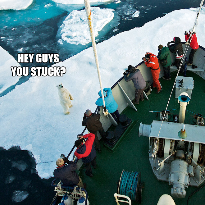 Τα YOLO της Τετάρτης