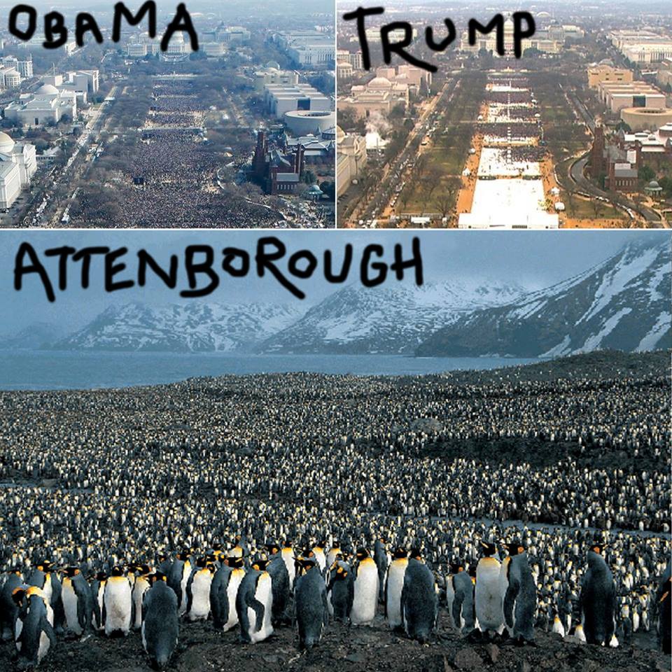 Τα YOLO της Παρασκευής