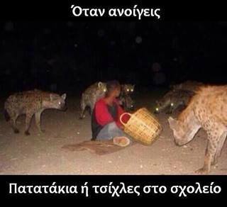 Τα YOLO της Κυριακής Τα YOLO της Κυριακής