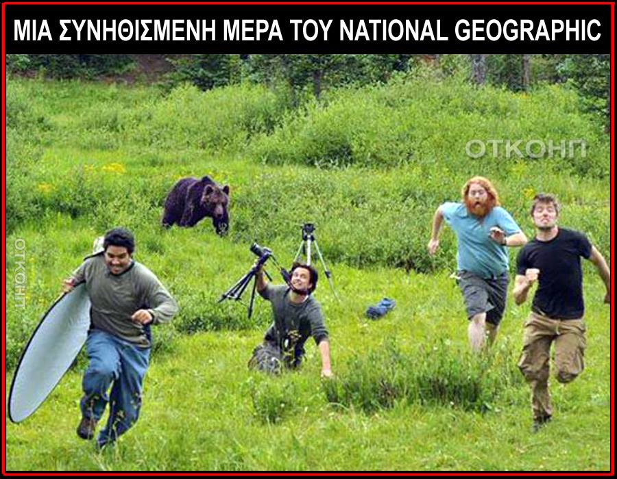 Τα YOLO της Τετάρτης