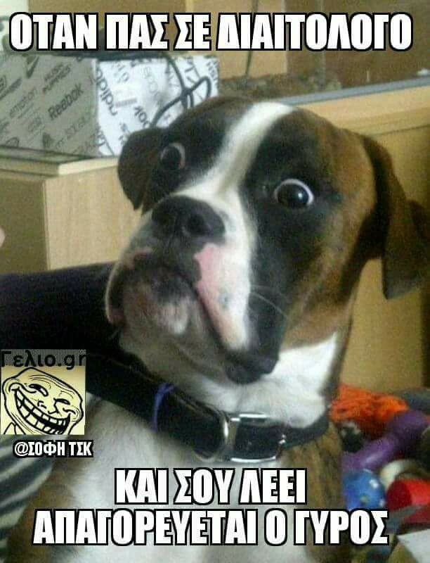 Τα YOLO της Παρασκευής