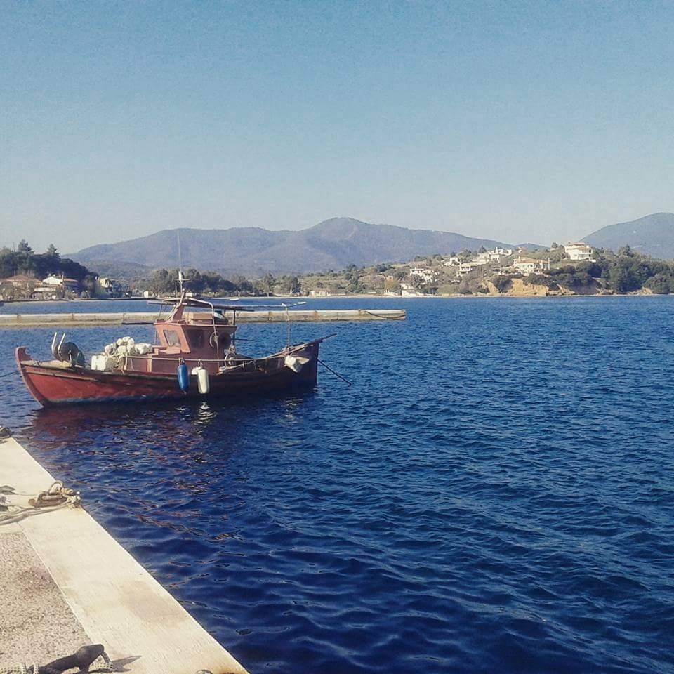 © ελένη γκαντίρη / Αχίλλειο Πτελεού, Μαγνησία