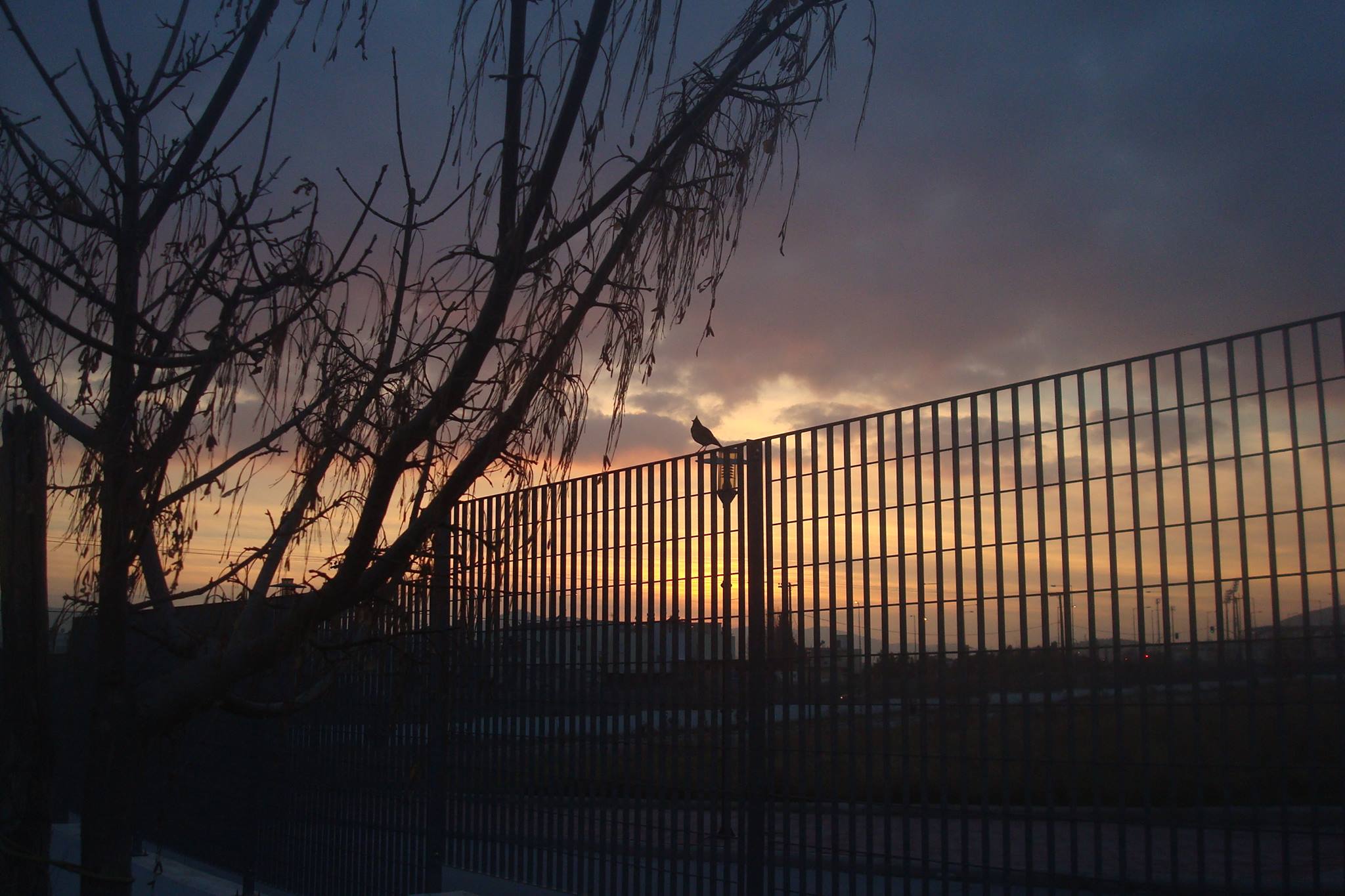 © ρουλα μουχτουρη / Βόλος