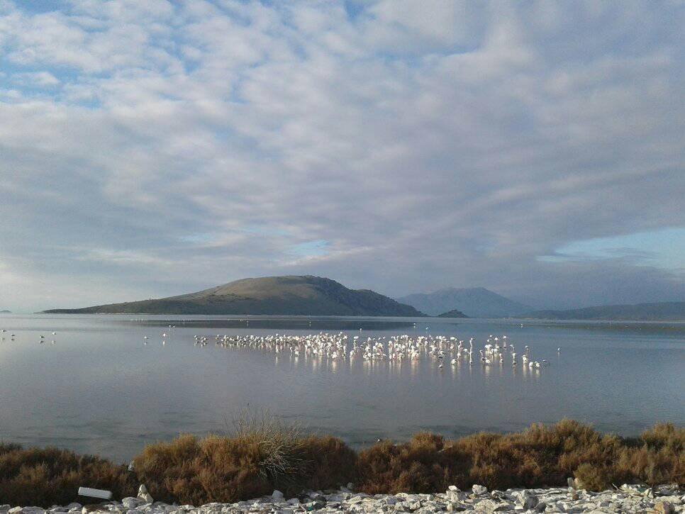 © Aggelos Kolonias / Μεσολόγγι