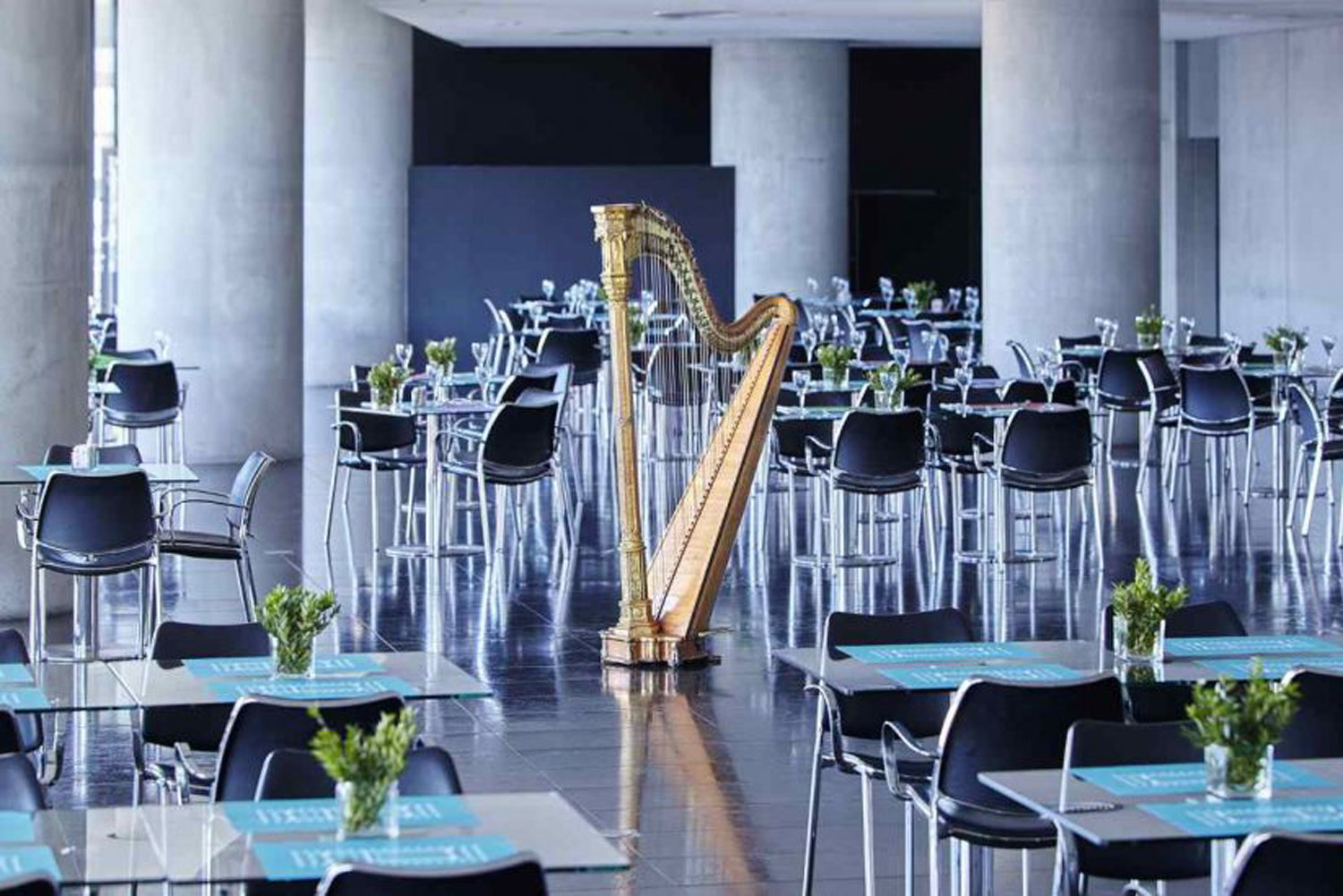Η διακριτική υπόκρουση των μελωδικών ήχων της άρπας σε παραπέμπει στα καλύτερα εστιατόρια μουσείων του κόσμου