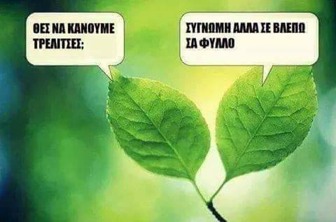 Τα YOLO της Τρίτης Τα YOLO της Τρίτης