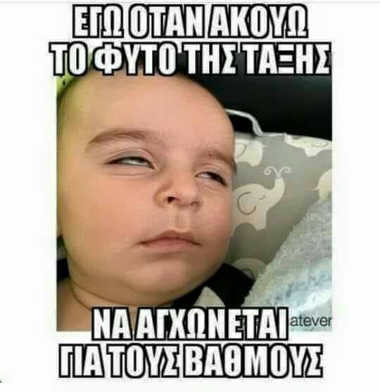 Τα YOLO της Τρίτης Τα YOLO της Τρίτης