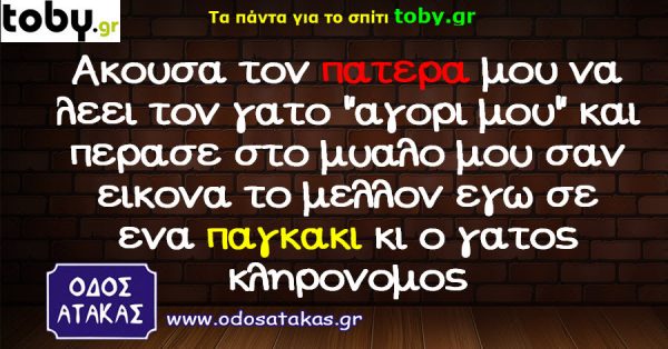 Τα YOLO της Τρίτης Τα YOLO της Τρίτης