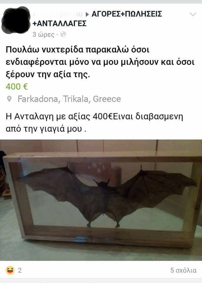 Τα YOLO της Τρίτης Τα YOLO της Τρίτης