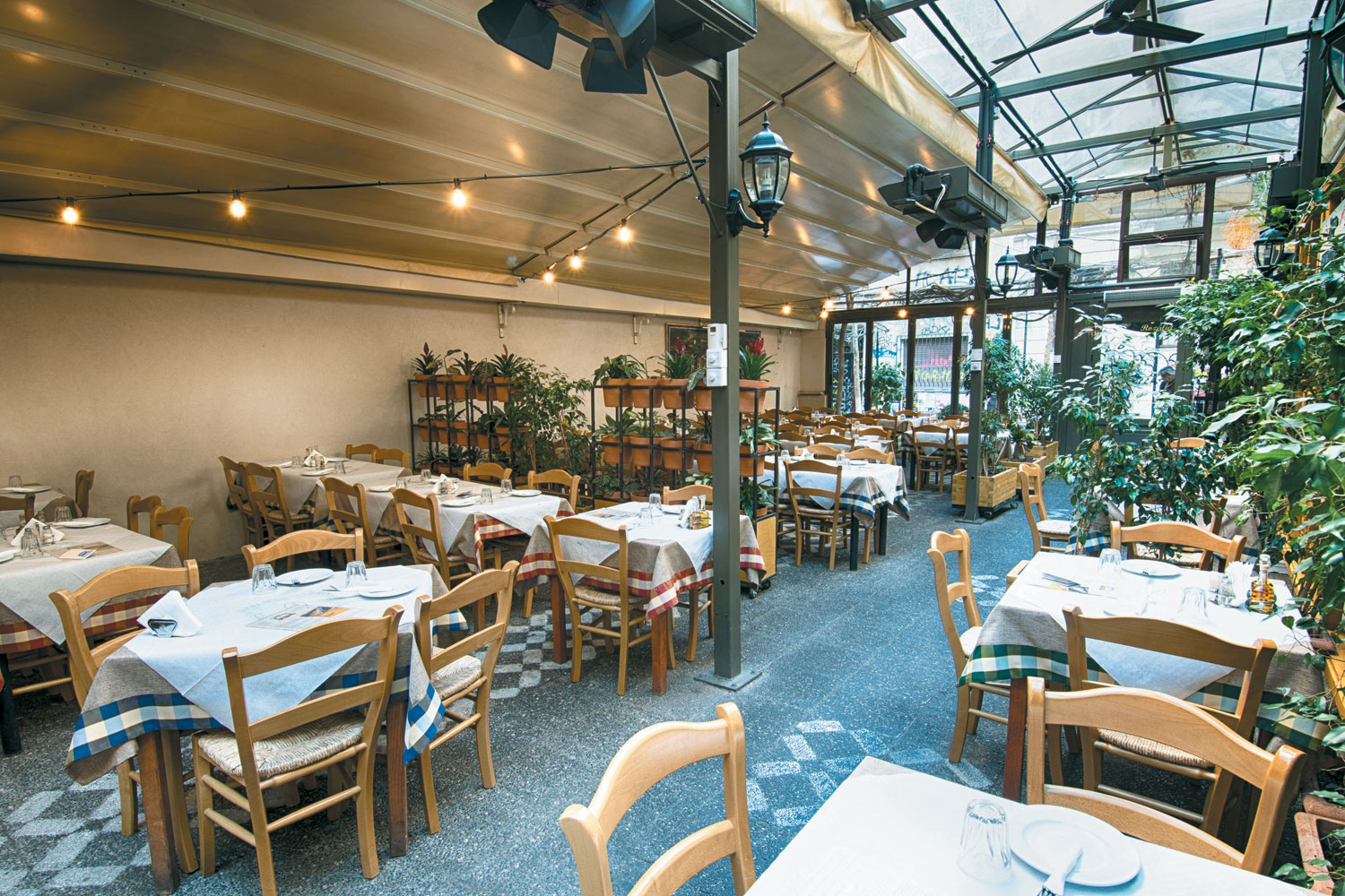 Ροζαλία Ροζαλία