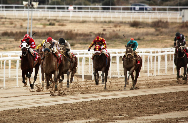 Υψηλό θέαμα και αυτό το Σάββατο στο Μαρκόπουλο από την Ιπποδρομίες ΑΕ