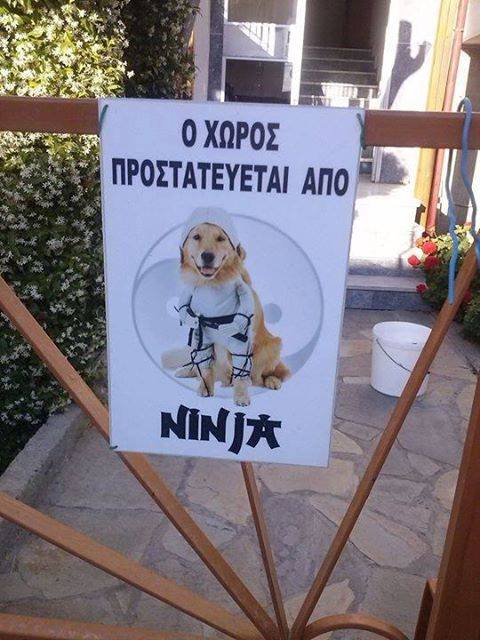 Τα YOLO του Σαββάτου