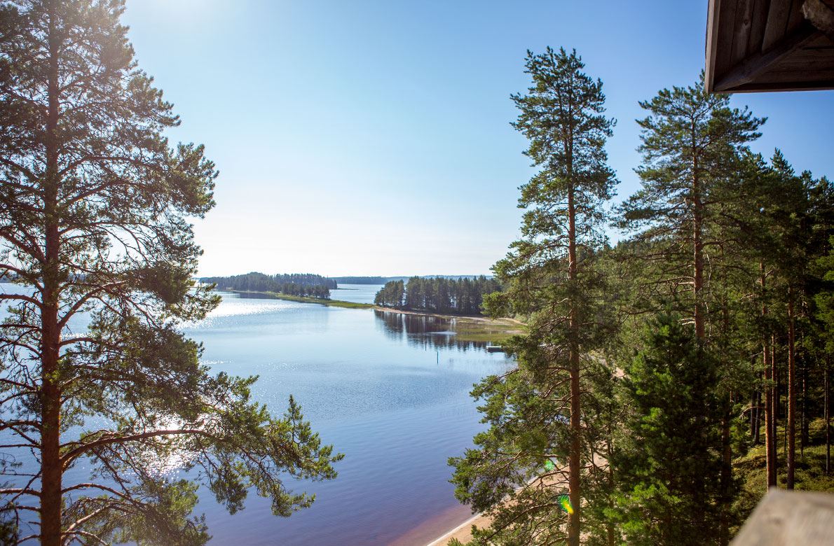 Τάιγκα Τάιγκα
