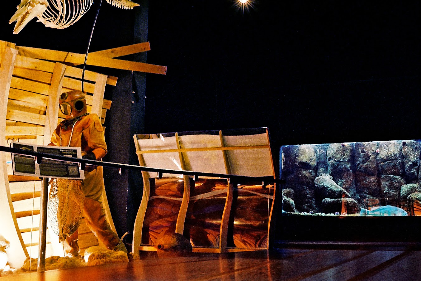 Στον μαγικό κόσμο του Ενυδρείου Κρήτης. Ο φωτογράφος ΓΙΑΝΝΗΣ ΟΙΚΟΝΟΜΟΥ φωτογραφίζει θαλασσόκοσμους. Στον μαγικό κόσμο του Ενυδρείου Κρήτης. Ο φωτογράφος ΓΙΑΝΝΗΣ ΟΙΚΟΝΟΜΟΥ φωτογραφίζει θαλασσόκοσμους.