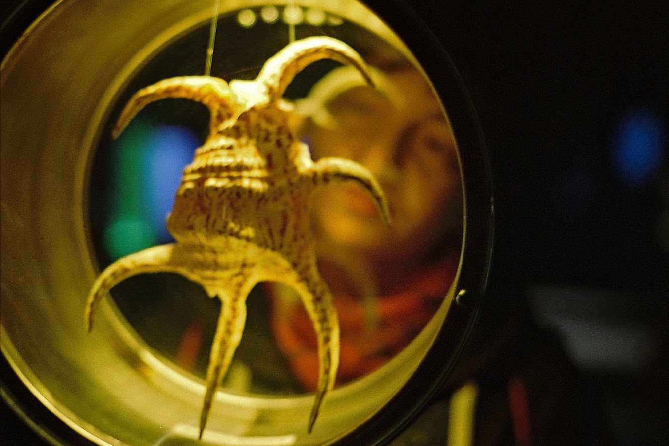 Στον μαγικό κόσμο του Ενυδρείου Κρήτης. Ο φωτογράφος ΓΙΑΝΝΗΣ ΟΙΚΟΝΟΜΟΥ φωτογραφίζει θαλασσόκοσμους. Στον μαγικό κόσμο του Ενυδρείου Κρήτης. Ο φωτογράφος ΓΙΑΝΝΗΣ ΟΙΚΟΝΟΜΟΥ φωτογραφίζει θαλασσόκοσμους.