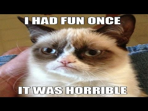 Τα YOLO της Κυριακής Τα YOLO της Κυριακής