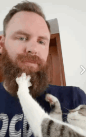 Τα YOLO της Κυριακής Τα YOLO της Κυριακής