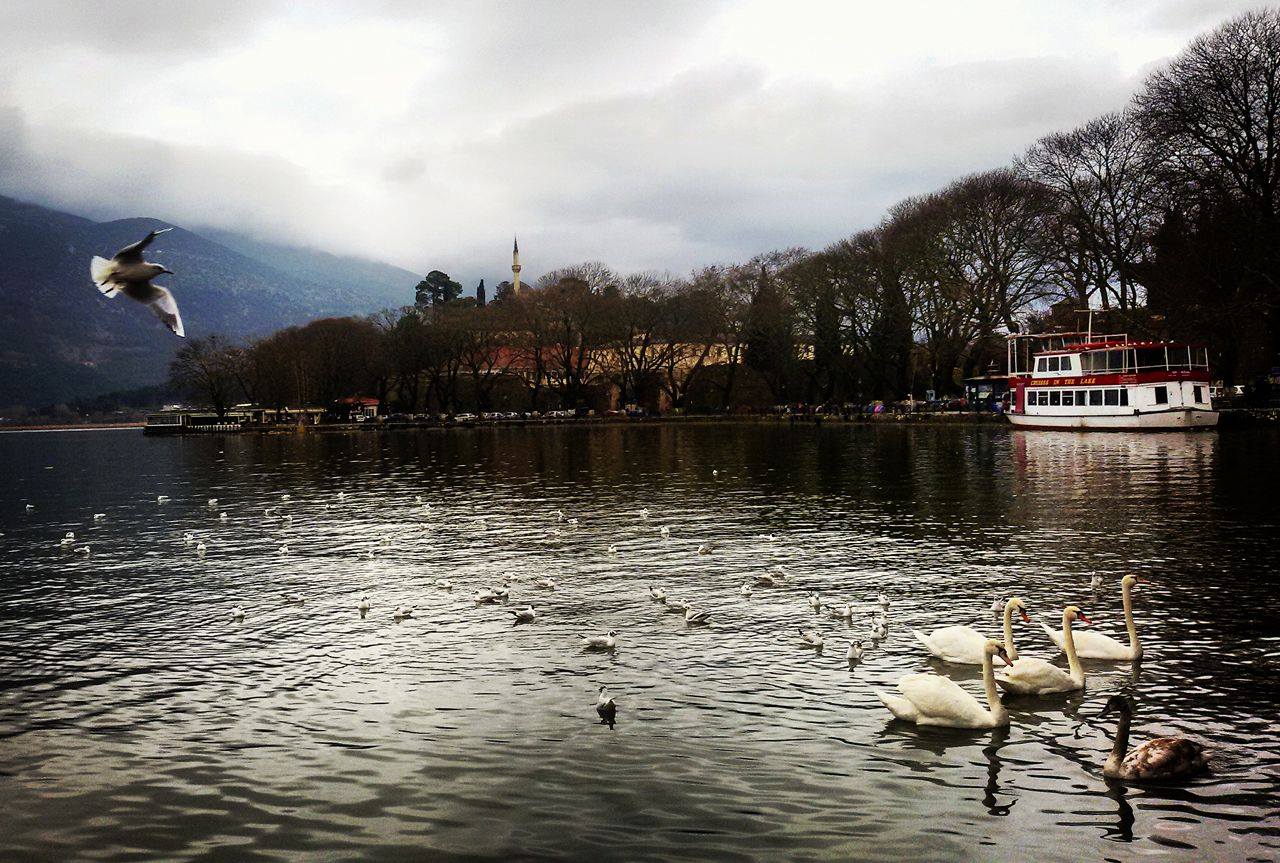 © Lucia Evangelidi / Ιωάννινα, Παμβώτιδα © Lucia Evangelidi / Ιωάννινα, Παμβώτιδα