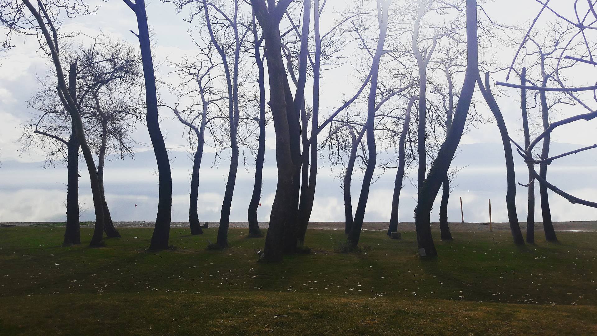 © Μαρία Τζουρμπάκη / Τριχωνίδα © Μαρία Τζουρμπάκη / Τριχωνίδα