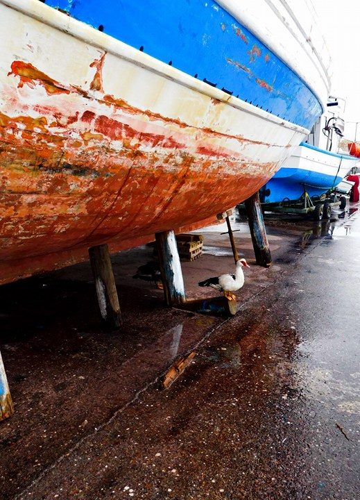 © Michalis Vardiampasis / Ιεράπετρα © Michalis Vardiampasis / Ιεράπετρα