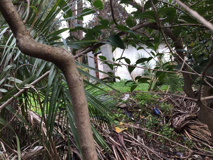 Το φυτώριο του Πεδίου του Άρεως σήμερα