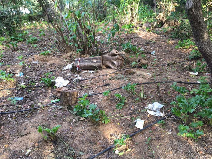 Πριν τον καθαρισμό των εθελοντών στο Πεδίο του Άρεως