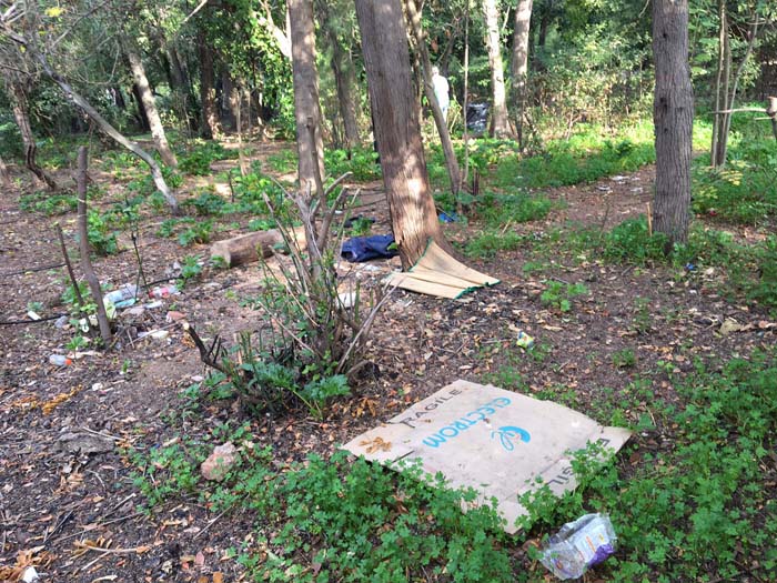 Πριν τον καθαρισμό των εθελοντών στο Πεδίο του Άρεως