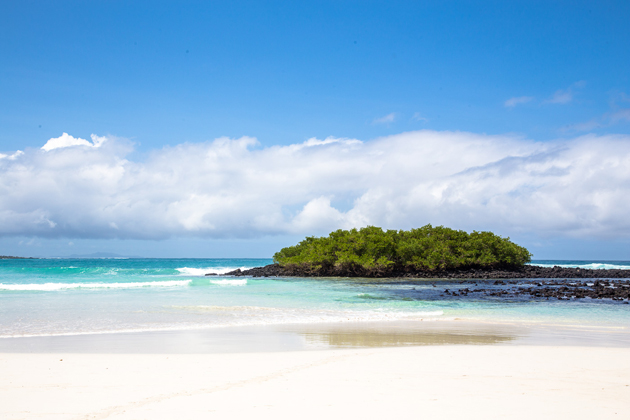 Galapagos Beach